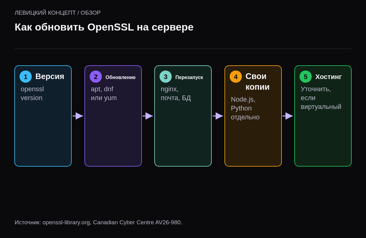 Пять шагов: узнать версию, обновить через менеджер пакетов, перезапустить службы, проверить программы со своей копией, уточнить у хостинга.